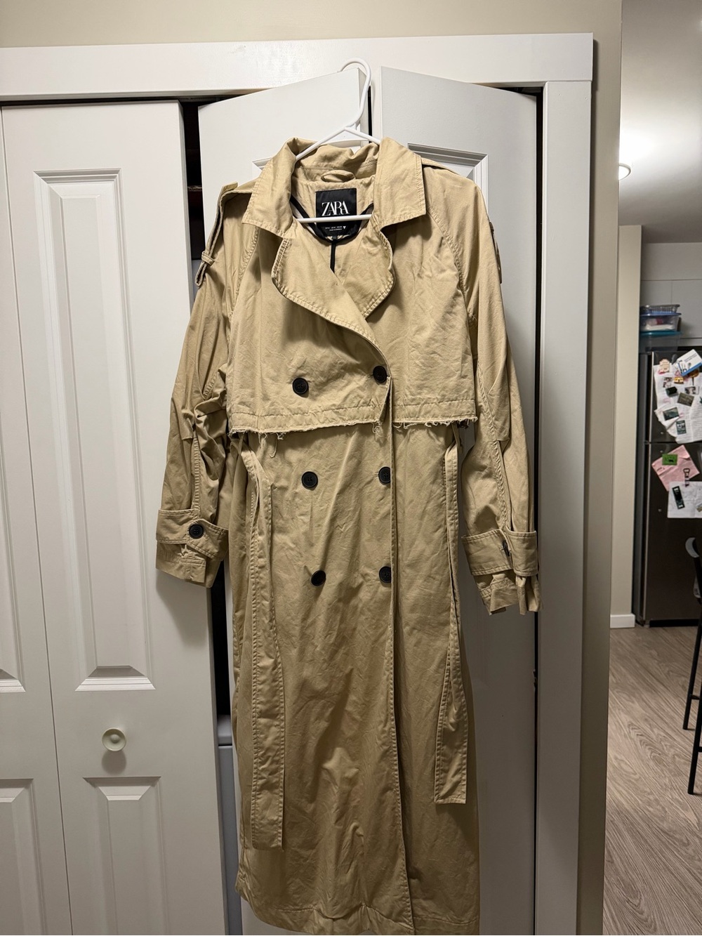 Zara Long Double-Breasted Trench Coat in Beige with Dark Buttons
